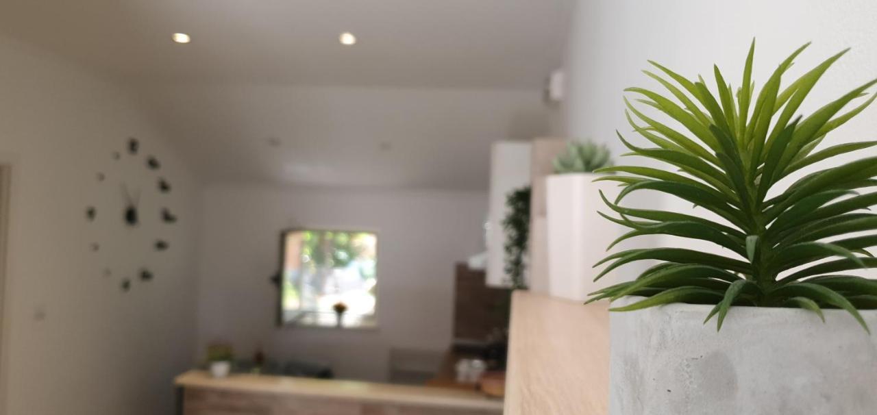 Apartments Marija Vukas دوبروفينك المظهر الخارجي الصورة