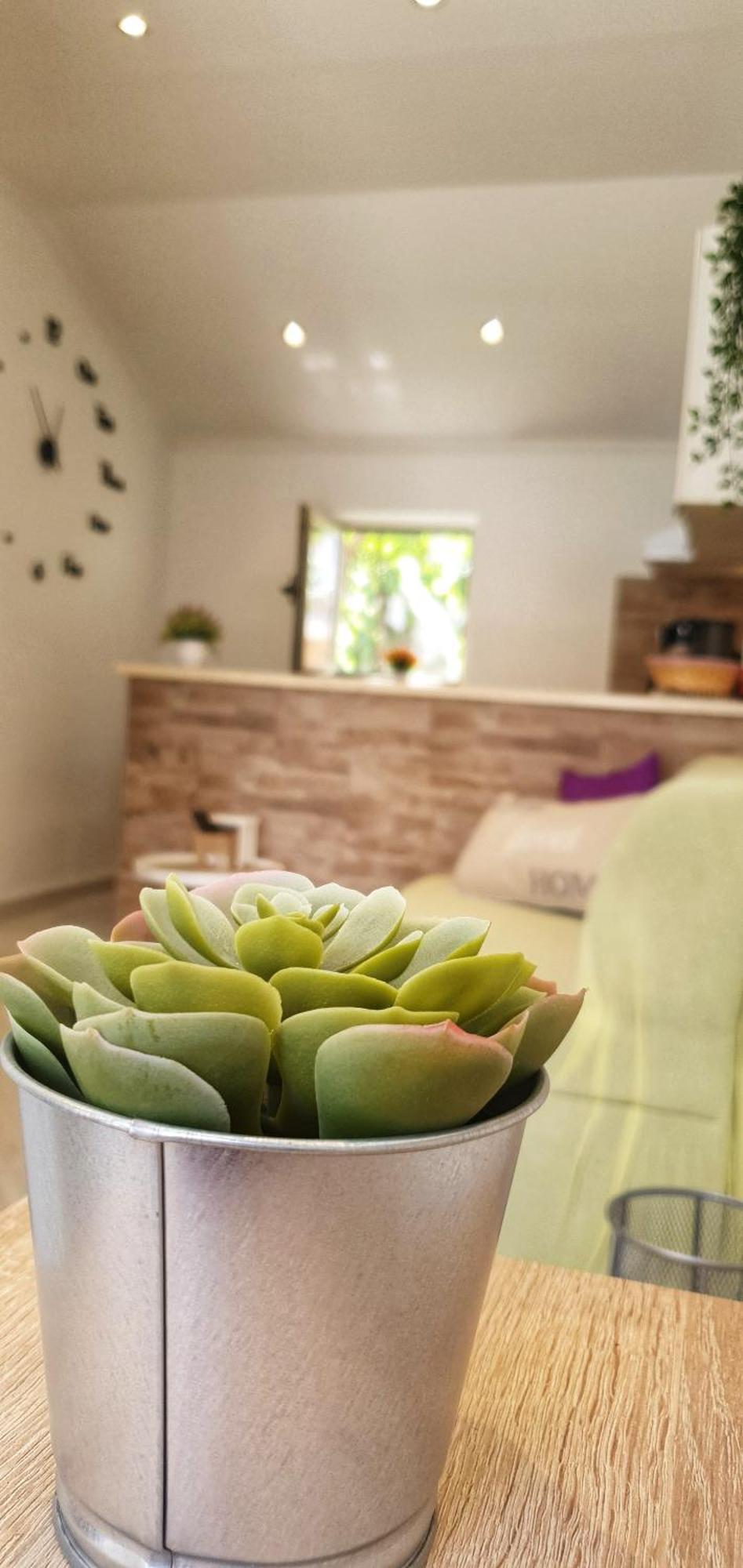 Apartments Marija Vukas دوبروفينك الغرفة الصورة